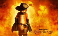 Puss in Boots from the Dreamworks animated movie cat wallpaper