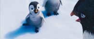 Erik the young penguin in the 2011 movie Happy Feet Two wallpaper