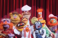 Group of all your favorite Muppet characters wallpaper