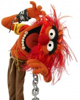 Animal from the Muppets wallpaper