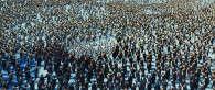 colony of penguins as seen in Happy Feet Two movie wallpaper