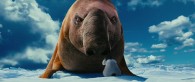 elephant seal from Happy Feet Two movie wallpaper