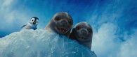 Erik the penguin with seals from Happy Feet Two movie wallpaper