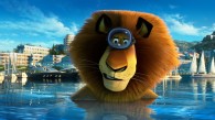 Alex the Lion in Madagascar 3 Europe's Most Wanted movie wallpaper