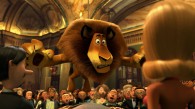 Alex the Lion in Madagascar 3 Europe's Most Wanted movie wallpaper