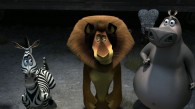 Alex the Lion, Marty the zebra and Gloria the hippo in Madagascar 3 Europe's Most Wanted movie wallpaper