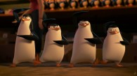 The Penguins of Madagascar: Skipper, Kowalski, Rico and Private movie wallpaper
