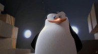 Skipper from the Penguins of Madagascar movie wallpaper
